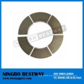 N48h Arc Magnets Neodymium for Motorcycle